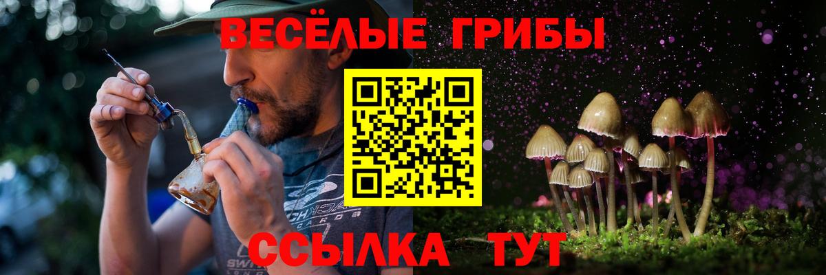Галлюциногенные грибы Cubensis Нижний Новгород