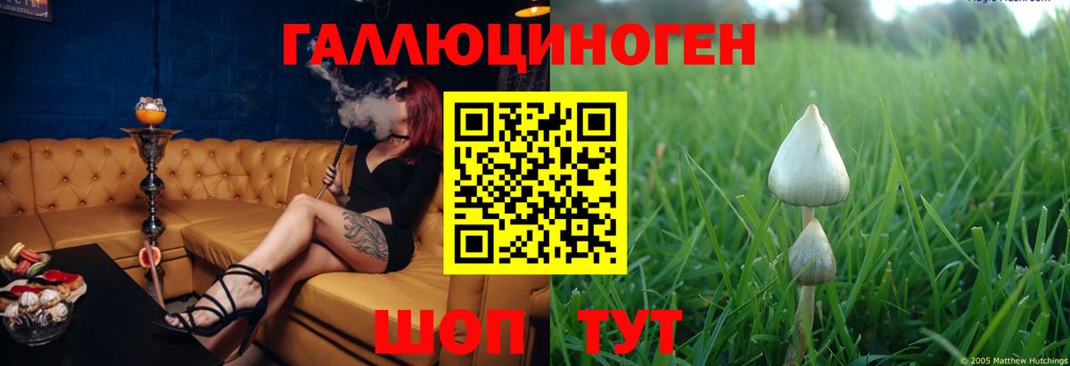 Нижний Новгород  Псилоцибиновые грибы MAGIC MUSHROOMS  Вход с VPN  Псилоцибиновые грибы Psilocybe 